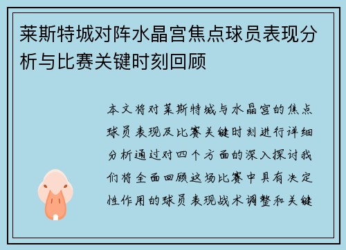 莱斯特城对阵水晶宫焦点球员表现分析与比赛关键时刻回顾