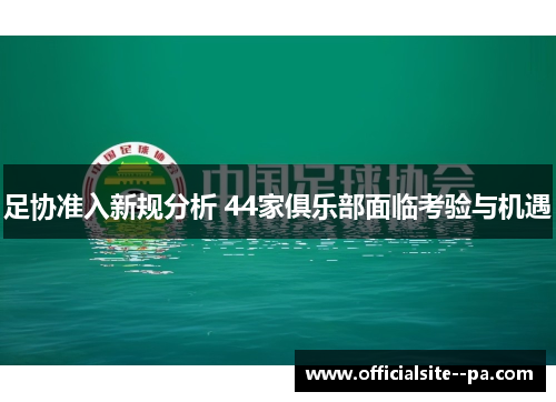 足协准入新规分析 44家俱乐部面临考验与机遇